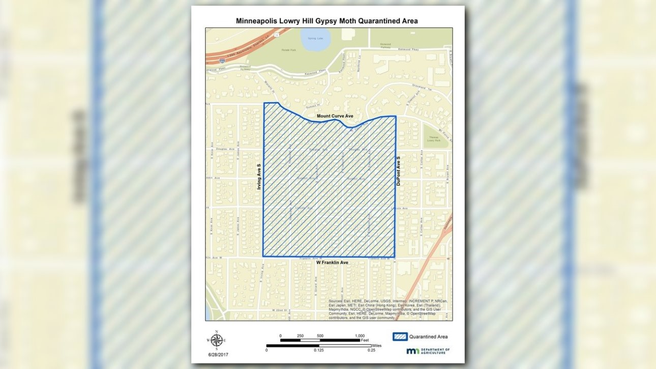 Gypsy moth quarantine in Minneapolis neighborhood